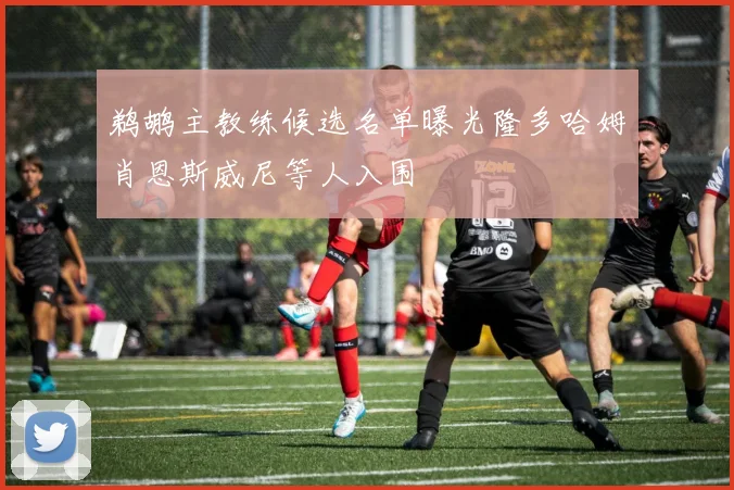 鹈鹕主教练候选名单曝光隆多哈姆肖恩斯威尼等人入围