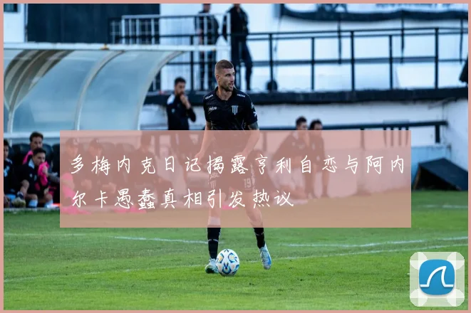 多梅内克日记揭露亨利自恋与阿内尔卡愚蠢真相引发热议